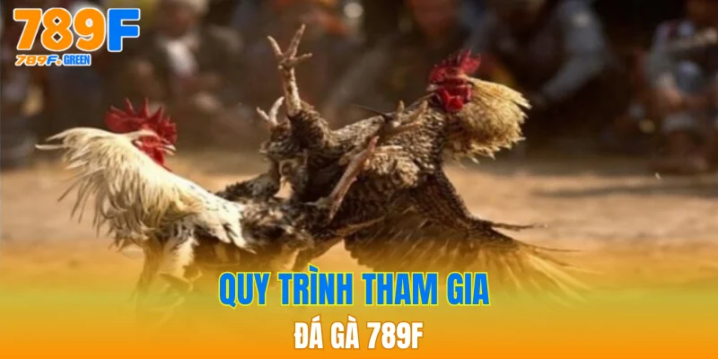 Quy trình tham gia đá gà 789F