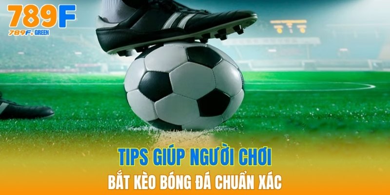 Tỷ Lệ Cá Cược | Mẹo Đọc Kèo Chính Xác Không Thể Sai 4 Tips giúp người chơi bắt kèo bóng đá chuẩn xác